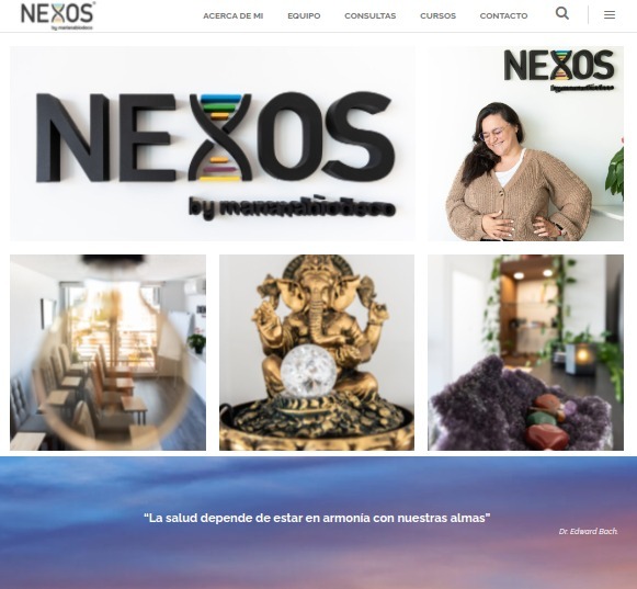 Nexos-–-By-Mariana-Biodeco (1)